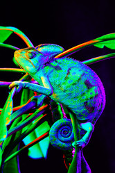 Similar image 13170897