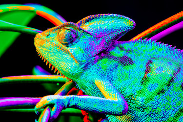 Similar image 13170898