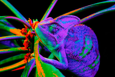 Similar image 13170901