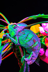 Similar image 13170902