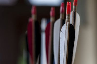 Similar image 13156854