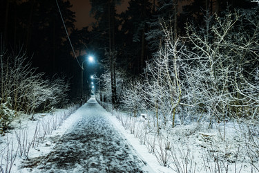 Similar image 13151971