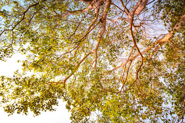 Similar image 13152010