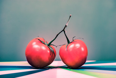 Similar image 13153029