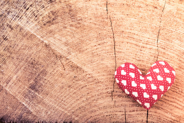 Similar image 13153628