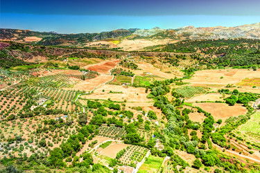 Similar image 13153629