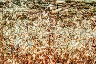 Similar image 13153633