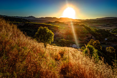 Similar image 13153651