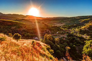 Similar image 13153652