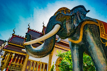 Similar image 13153709