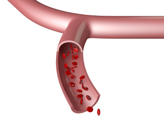 Similar image 13173547