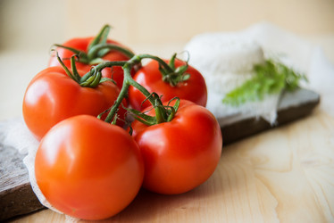 Similar image 13180269