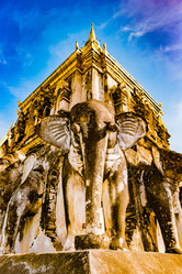 Similar image 13153639