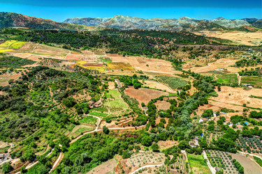 Similar image 13153726