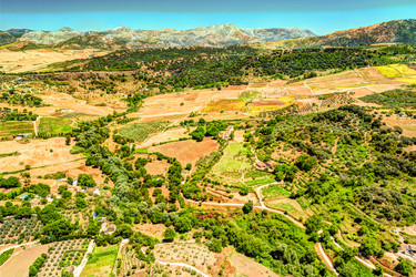 Similar image 13153727