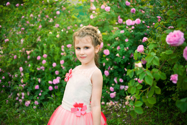 Similar image 13152503