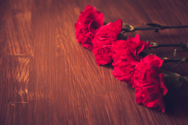 Similar image 13180671