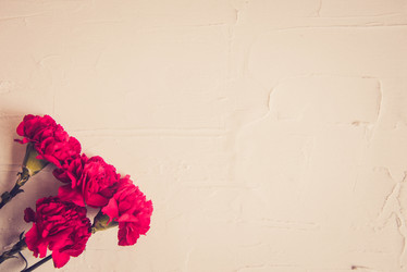 Similar image 13180690