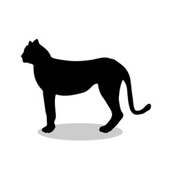 Similar image 13190755