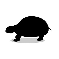 Similar image 13190657