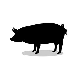 Similar image 13190716