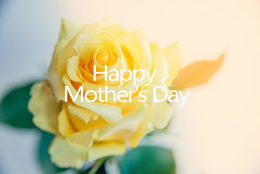 Similar image 13180350