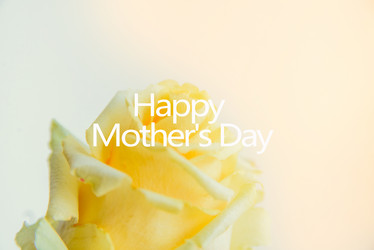 Similar image 13180352