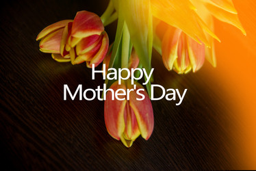 Similar image 13180372