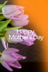 Similar image 13180375