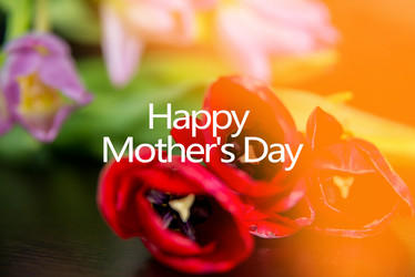 Similar image 13180409