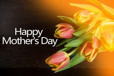 Similar image 13180411