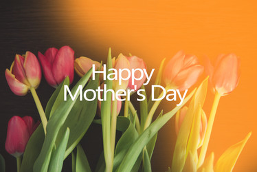 Similar image 13180593