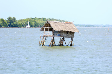 Similar image 13155970