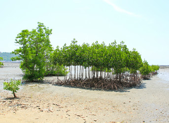 Similar image 13158472