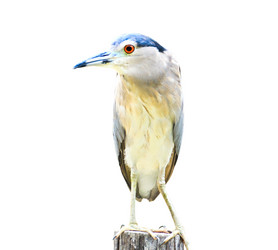 Similar image 13161911