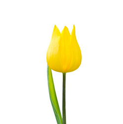 Similar image 13161913