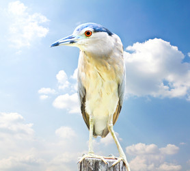 Similar image 13161934