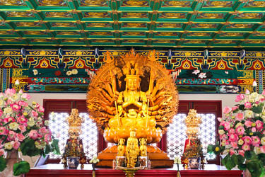 Similar image 13161959