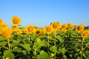 Similar image 13163206