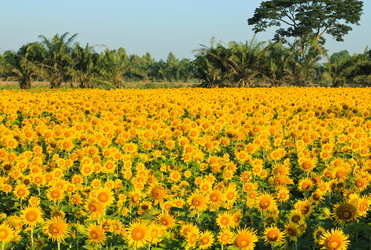 Similar image 13163226