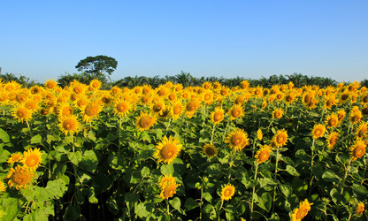 Similar image 13163323