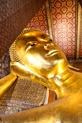 Similar image 13155896