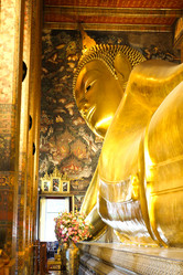 Similar image 13155898