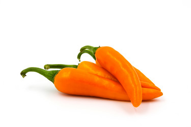 Similar image 13155916