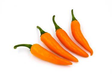 Similar image 13155930