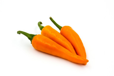 Similar image 13155950