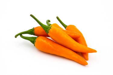 Similar image 13155951