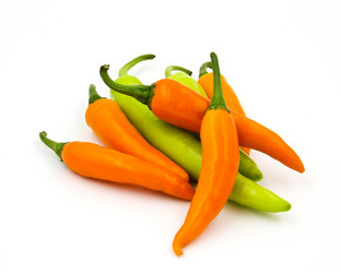 Similar image 13155954