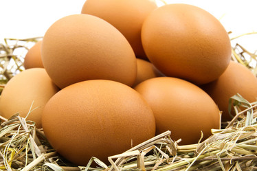 Similar image 13163332