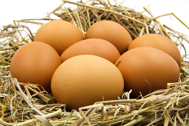 Similar image 13154383